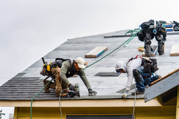Professional Emergency Roof Repair technician working in Peshtigo, WI